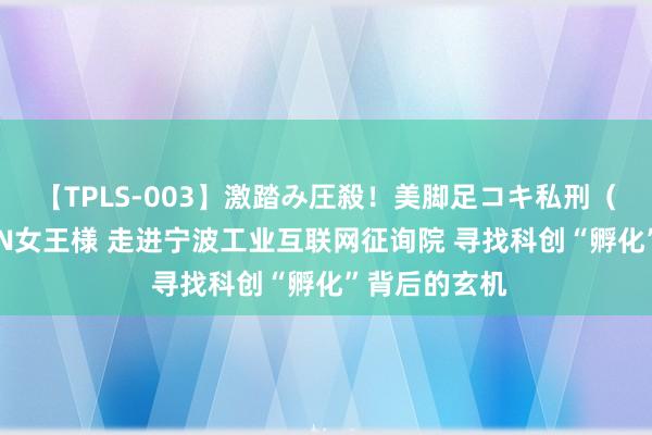 【TPLS-003】激踏み圧殺！美脚足コキ私刑（リンチ） JUN女王様 走进宁波工业互联网征询院 寻找科创“孵化”背后的玄机