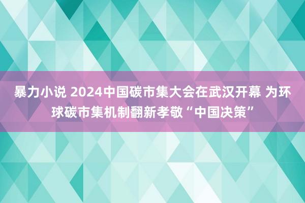 暴力小说 2024中国碳市集大会在武汉开幕 为环球碳市集机制翻新孝敬“中国决策”