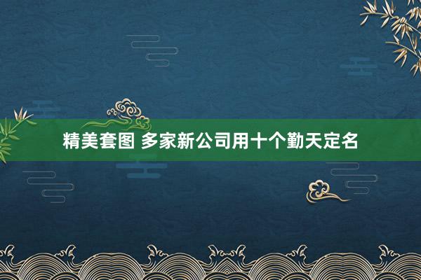 精美套图 多家新公司用十个勤天定名