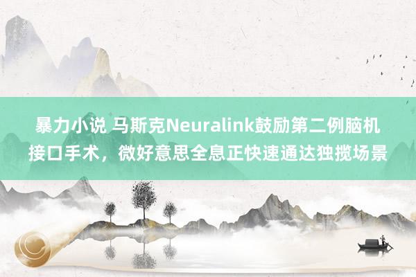 暴力小说 马斯克Neuralink鼓励第二例脑机接口手术，微好意思全息正快速通达独揽场景