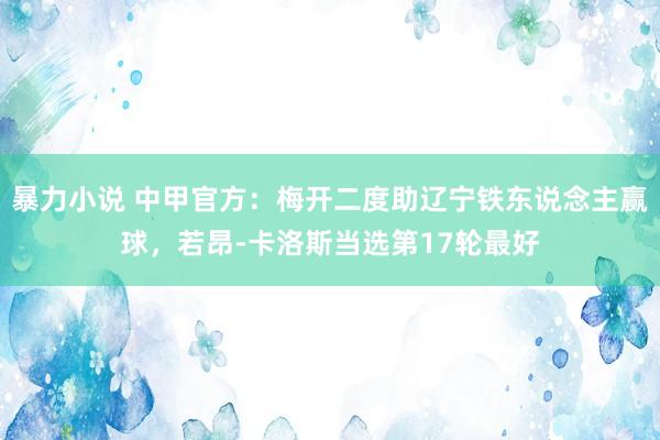 暴力小说 中甲官方：梅开二度助辽宁铁东说念主赢球，若昂-卡洛斯当选第17轮最好