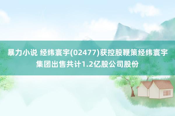 暴力小说 经纬寰宇(02477)获控股鞭策经纬寰宇集团出售共计1.2亿股公司股份