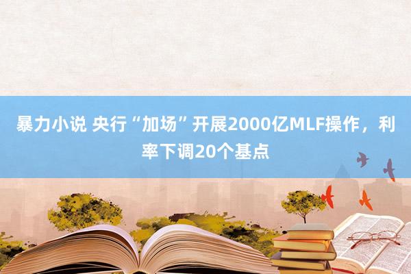 暴力小说 央行“加场”开展2000亿MLF操作，利率下调20个基点