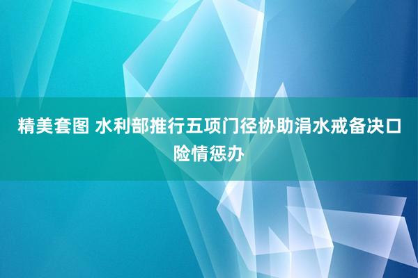 精美套图 水利部推行五项门径协助涓水戒备决口险情惩办