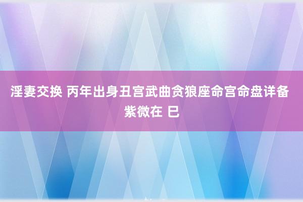 淫妻交换 丙年出身丑宫武曲贪狼座命宫命盘详备 紫微在 巳