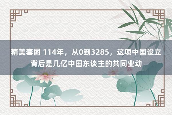 精美套图 114年，从0到3285，这项中国设立背后是几亿中国东谈主的共同业动