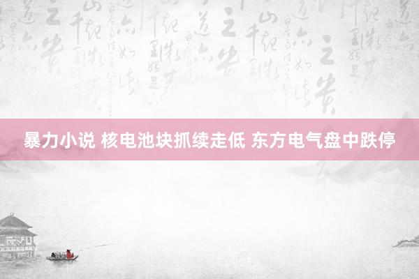 暴力小说 核电池块抓续走低 东方电气盘中跌停