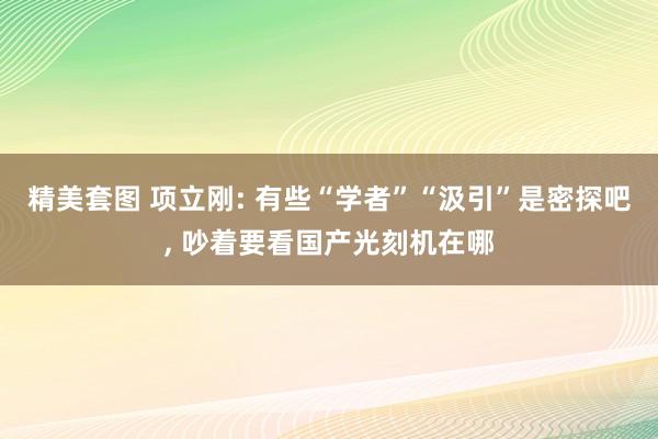 精美套图 项立刚: 有些“学者”“汲引”是密探吧， 吵着要看国产光刻机在哪