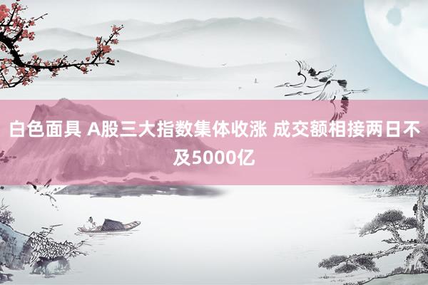 白色面具 A股三大指数集体收涨 成交额相接两日不及5000亿