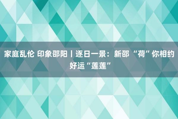 家庭乱伦 印象邵阳丨逐日一景：新邵 “荷”你相约 好运“莲莲”