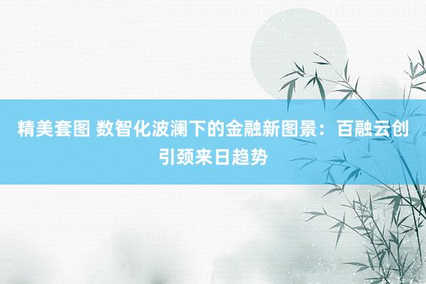 精美套图 数智化波澜下的金融新图景：百融云创引颈来日趋势