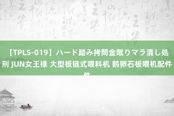 【TPLS-019】ハード踏み拷問金蹴りマラ潰し処刑 JUN女王様 大型板链式喂料机 鹅卵石板喂机配件