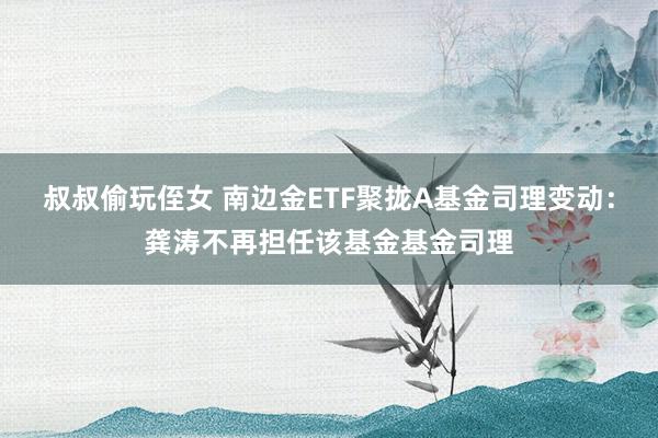 叔叔偷玩侄女 南边金ETF聚拢A基金司理变动：龚涛不再担任该基金基金司理