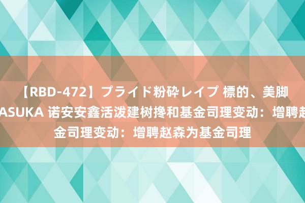 【RBD-472】プライド粉砕レイプ 標的、美脚パーツモデル ASUKA 诺安安鑫活泼建树搀和基金司理变动：增聘赵森为基金司理