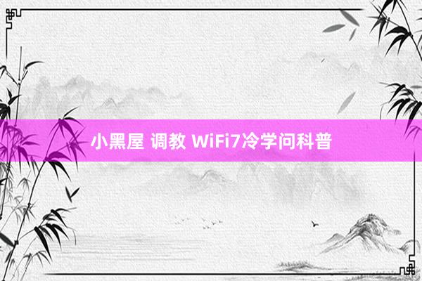 小黑屋 调教 WiFi7冷学问科普