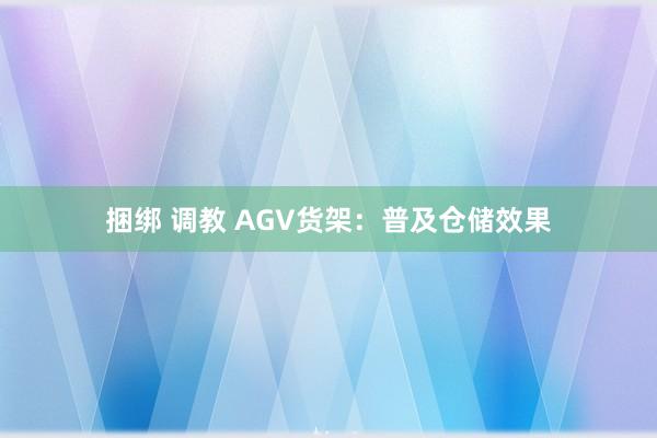 捆绑 调教 AGV货架：普及仓储效果