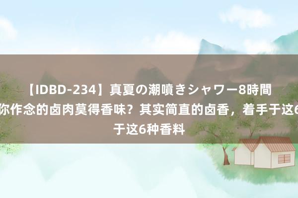 【IDBD-234】真夏の潮噴きシャワー8時間 为什么你作念的卤肉莫得香味？其实简直的卤香，着手于这6种香料