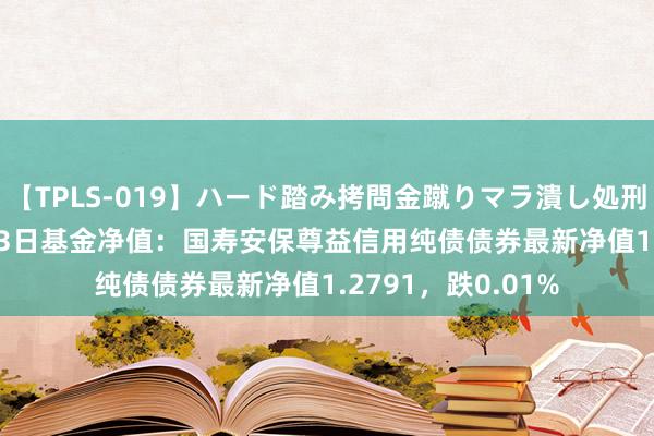 【TPLS-019】ハード踏み拷問金蹴りマラ潰し処刑 JUN女王様 8月23日基金净值：国寿安保尊益信用纯债债券最新净值1.2791，跌0.01%