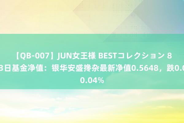 【QB-007】JUN女王様 BESTコレクション 8月23日基金净值：银华安盛搀杂最新净值0.5648，跌0.04%