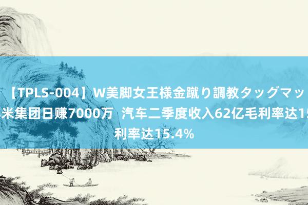 【TPLS-004】W美脚女王様金蹴り調教タッグマッチ 小米集团日赚7000万  汽车二季度收入62亿毛利率达15.4%