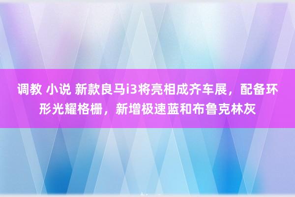 调教 小说 新款良马i3将亮相成齐车展，配备环形光耀格栅，新增极速蓝和布鲁克林灰