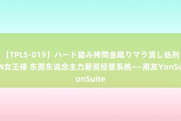 【TPLS-019】ハード踏み拷問金蹴りマラ潰し処刑 JUN女王様 东莞东说念主力薪资经管系统——用友YonSuite