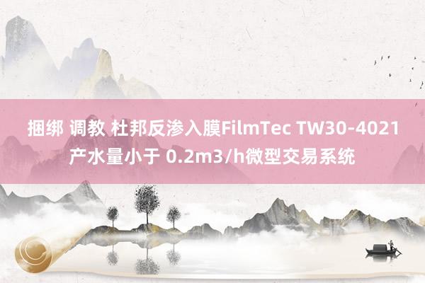 捆绑 调教 杜邦反渗入膜FilmTec TW30-4021产水量小于 0.2m3/h微型交易系统