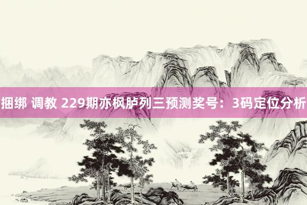 捆绑 调教 229期亦枫胪列三预测奖号：3码定位分析