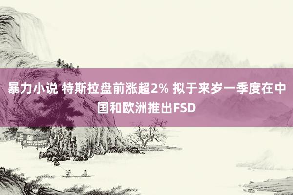 暴力小说 特斯拉盘前涨超2% 拟于来岁一季度在中国和欧洲推出FSD