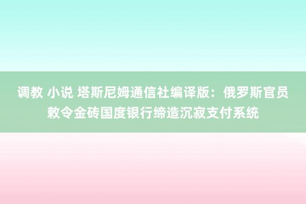 调教 小说 塔斯尼姆通信社编译版：俄罗斯官员敕令金砖国度银行缔造沉寂支付系统