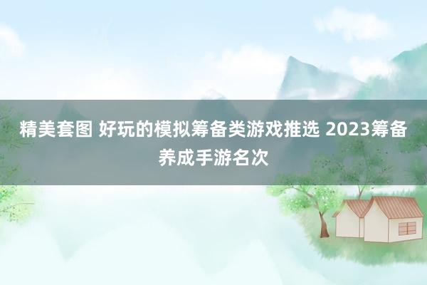 精美套图 好玩的模拟筹备类游戏推选 2023筹备养成手游名次