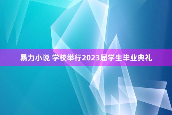 暴力小说 学校举行2023届学生毕业典礼