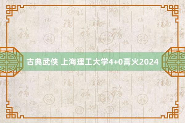 古典武侠 上海理工大学4+0膏火2024