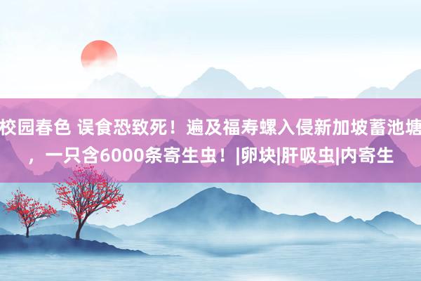 校园春色 误食恐致死！遍及福寿螺入侵新加坡蓄池塘，一只含6000条寄生虫！|卵块|肝吸虫|内寄生