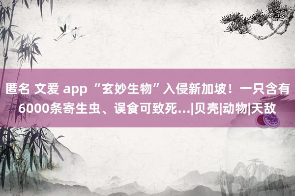 匿名 文爱 app “玄妙生物”入侵新加坡！一只含有6000条寄生虫、误食可致死...|贝壳|动物|天敌