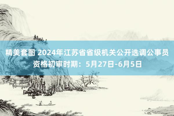 精美套图 2024年江苏省省级机关公开选调公事员资格初审时期：5月27日-6月5日